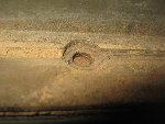 IMG_2959.jpg