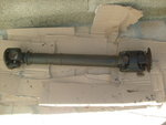 S7304376.JPG