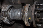 DSC_1090.jpg