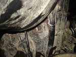 DSC09674.JPG