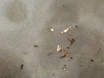 20140724_190634.jpg