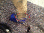 IMG_4344.gif