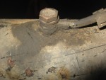 IMG_2224.jpg