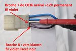 connecteur C036 klaxon et appel phare.jpg (839.07 Kio) Vu 16354 fois connecteur C036 klaxon et appel phare.jpg