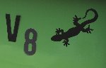 schreck gecko v8.jpg