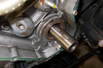 IMG_4134_DxO_web.jpg