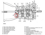 BV 01.JPG