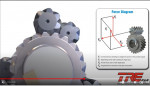 diagrame des forces diff helicoidal