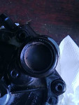 IMG_20260717_101009.jpg