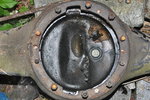 DSC_8446.JPG