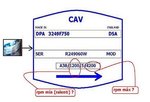 PARA%20LRFAQ-Bomba%20inyectora%20CAV%2C%20datos%20de%20la%20instalada%20en%20Minimalotel.JPG.jpeg