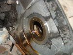 DSCF0959.JPG