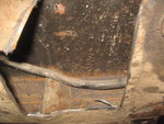 IMG_2159.jpg
