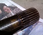 IMAG0221.jpg