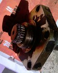 IMAG0223.jpg